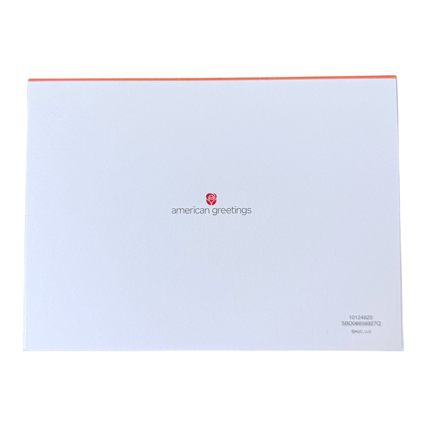 Party Banner American Greetings Birthday Card & Envelope