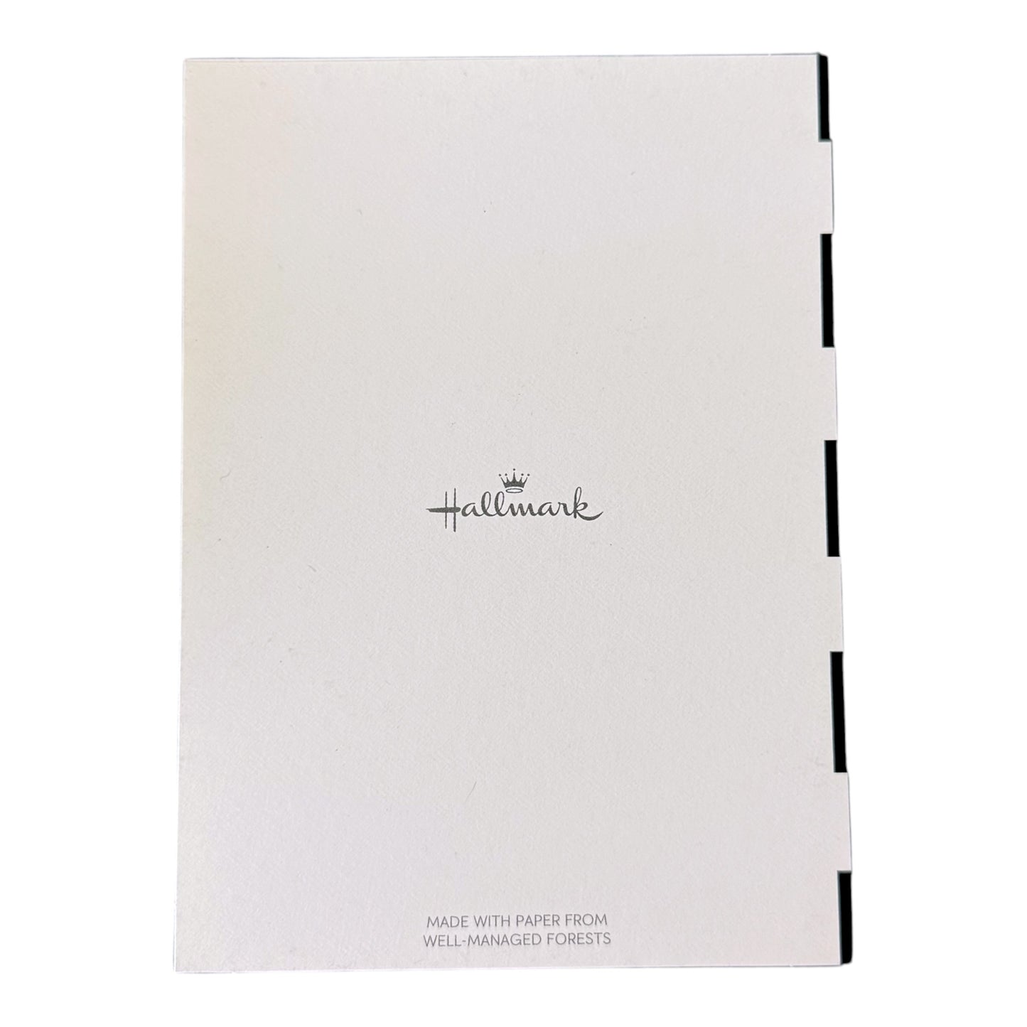 "Trick or Treat" Hallmark Halloween Card & Envelope