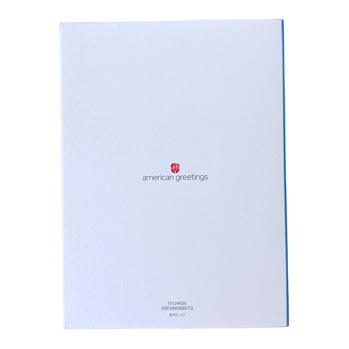 "Best Birthday Wishes" American Greetings Birthday Card & Envelope