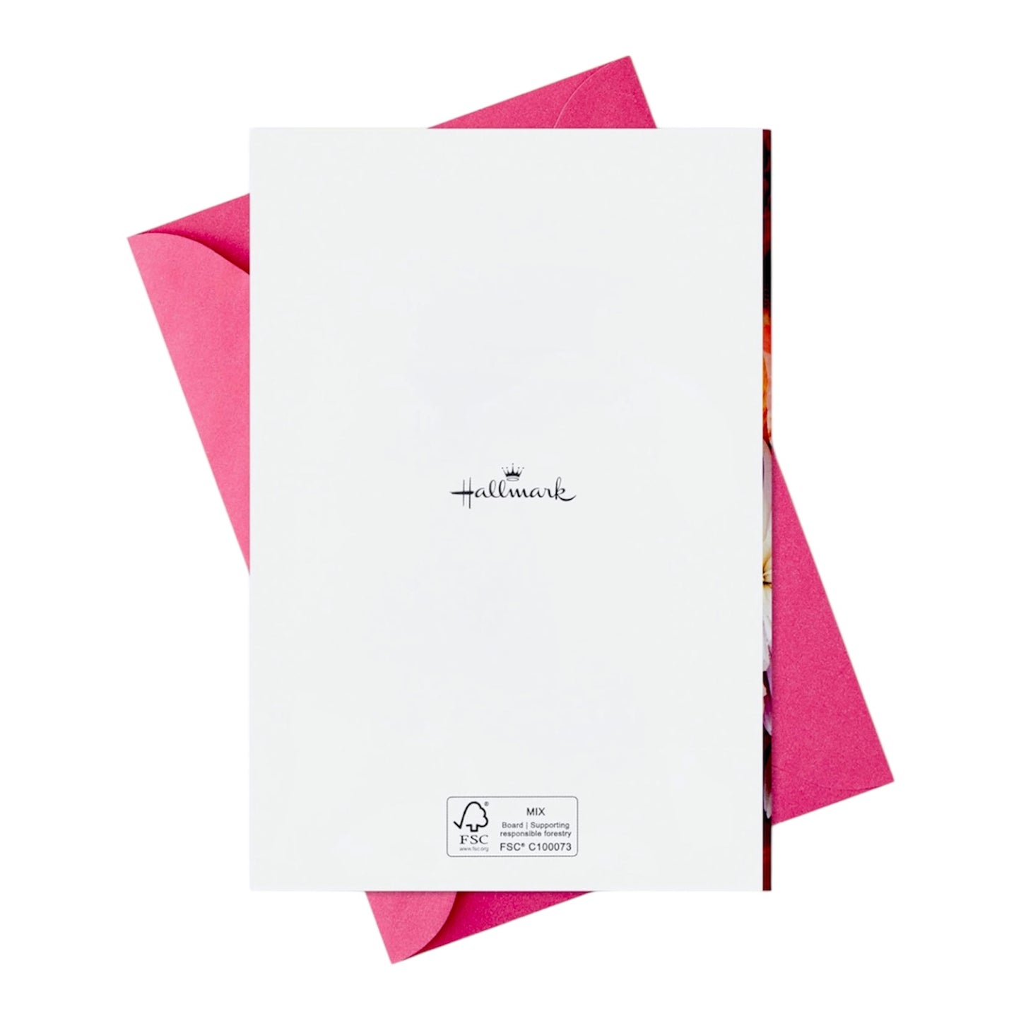 "You Mean So Much" Hallmark Mother's Day Card & Envelope