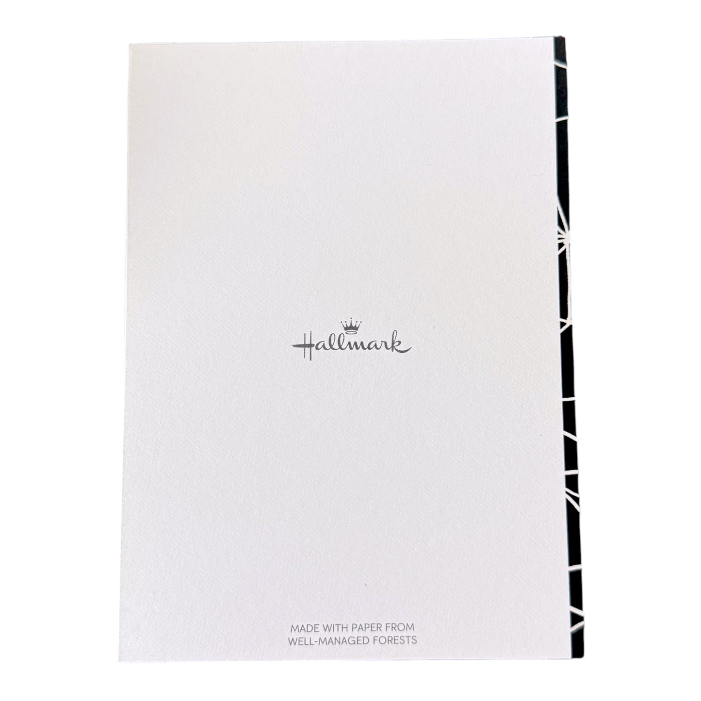 Spider Webs Hallmark Halloween Card & Envelope