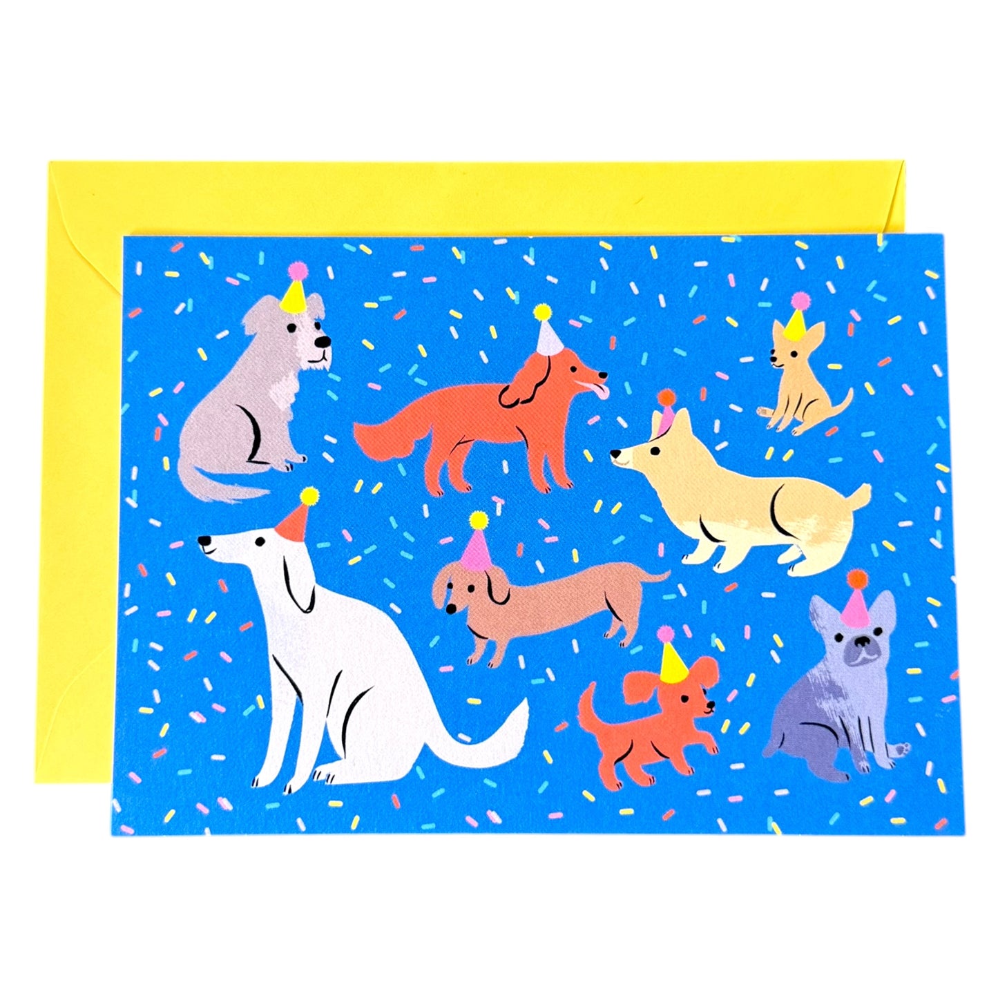 Hallmark Birthday Card & Envelope
