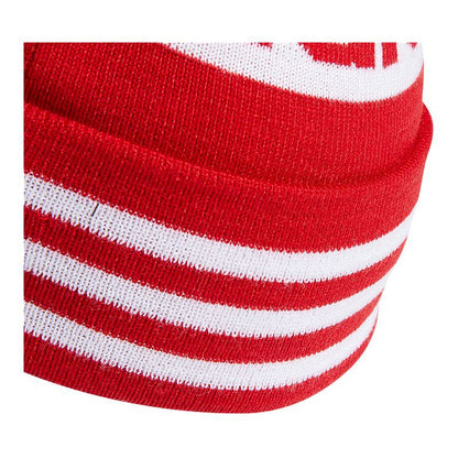 Red Stripe Pom Beanie