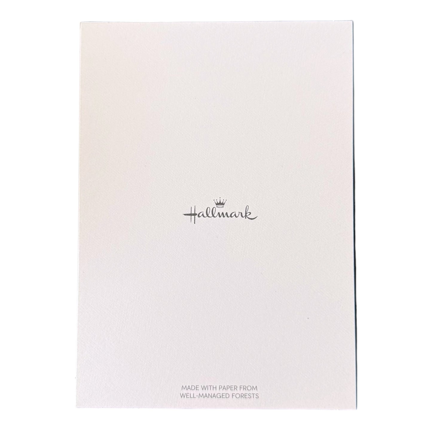 "Best Witches" Hallmark Halloween Card & Envelope