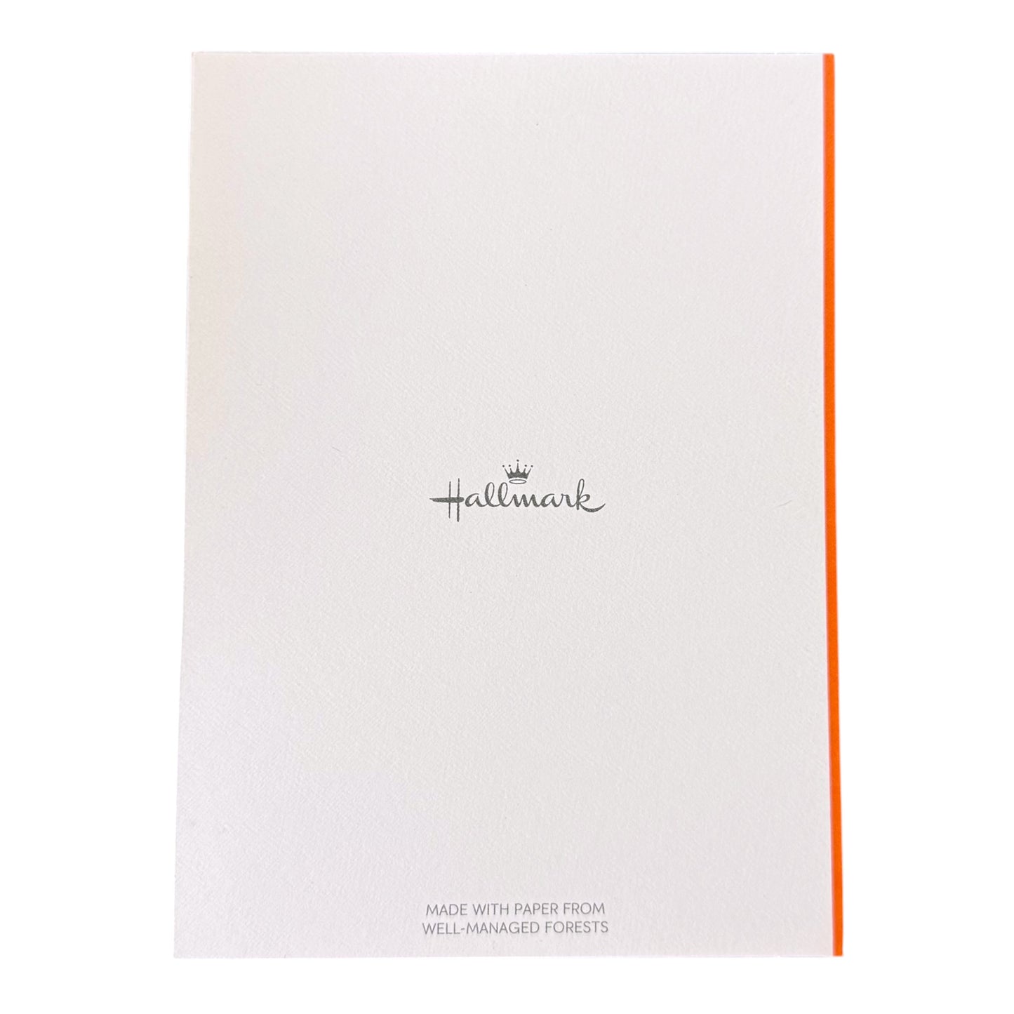 Black Cat Hallmark Halloween Card & Envelope