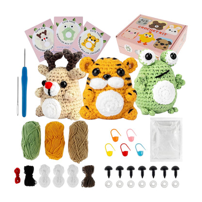 Crochet Kit for Beginners