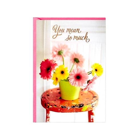 "You Mean So Much" Hallmark Mother's Day Card & Envelope