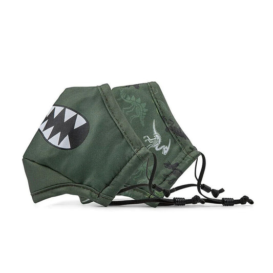 BondStreet kids' reusable face masks: green dinosaur designs mask pair with ear loops.