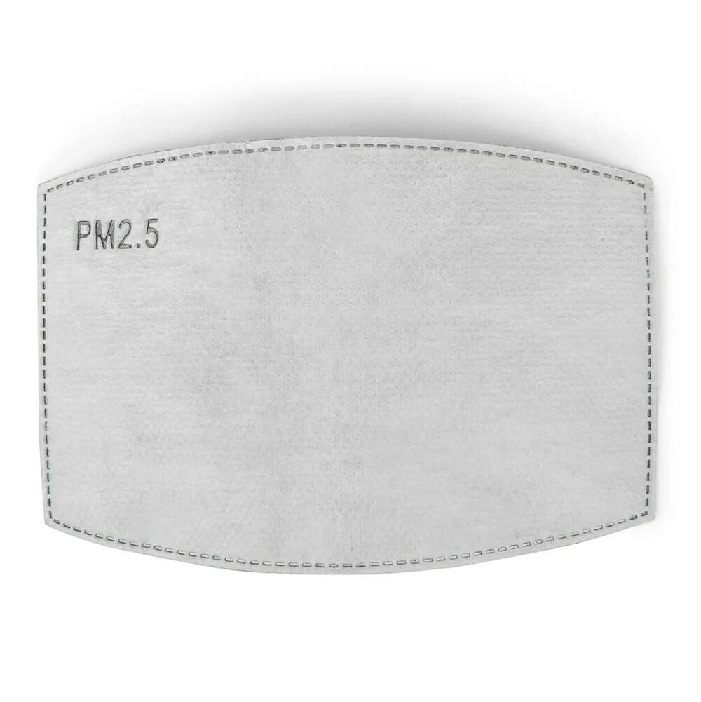 BondStreet PM2.5 face mask filters: individual PM2.5 filter insert.