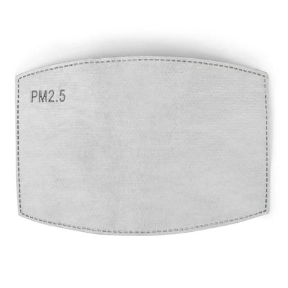 BondStreet PM2.5 face mask filters: individual PM2.5 filter insert.